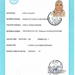 3-GSM (Gayrı Sıhhi Müessese) RUHSATI